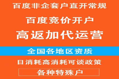 百度广告推广实战案例解析